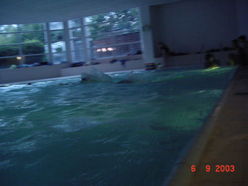 Einführung für angehende Schwimmsportleitende 2003 - Bild 29